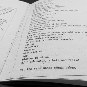 Foto 2015-01-23 15 13 10