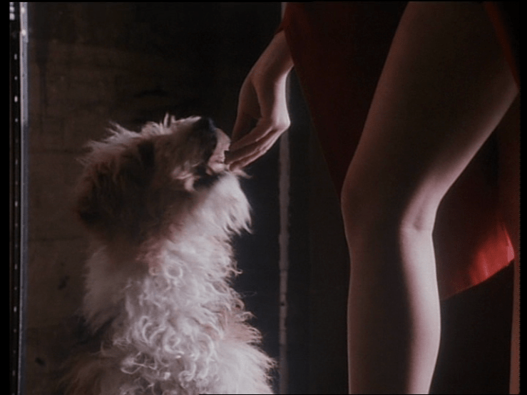 vlcsnap-2015-01-30-02h28m59s71