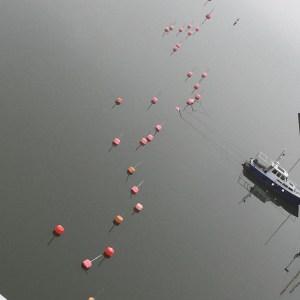 10363785_10152793108003506_2284712772218960370_n