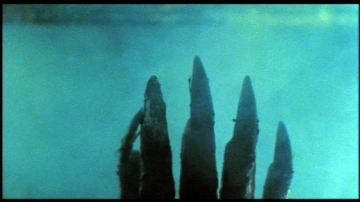 vlcsnap-2015-09-26-05h01m00s241